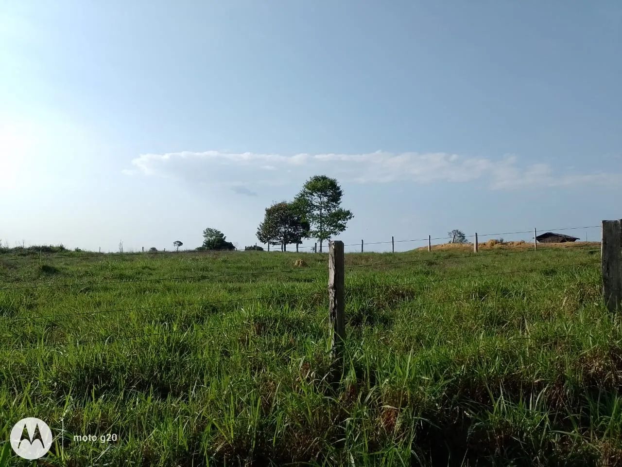 ? FAZENDA À VENDA - MACHADINHO D?OESTE/RO ? - Foto 3