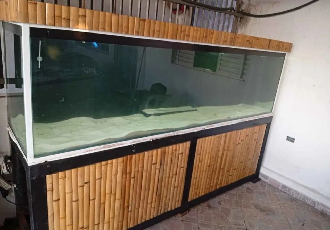 Aquario 