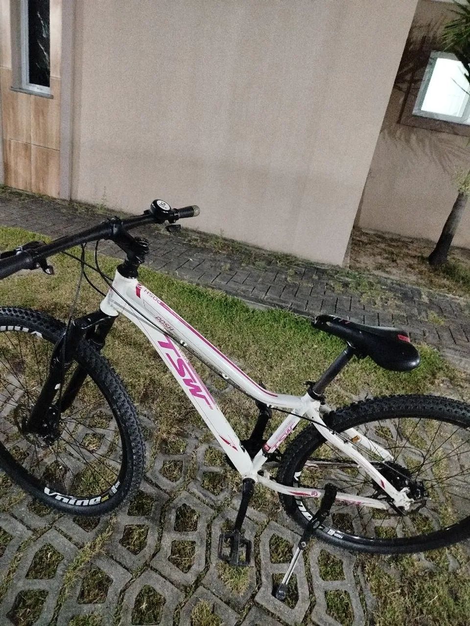 Baik aro 29 TSW