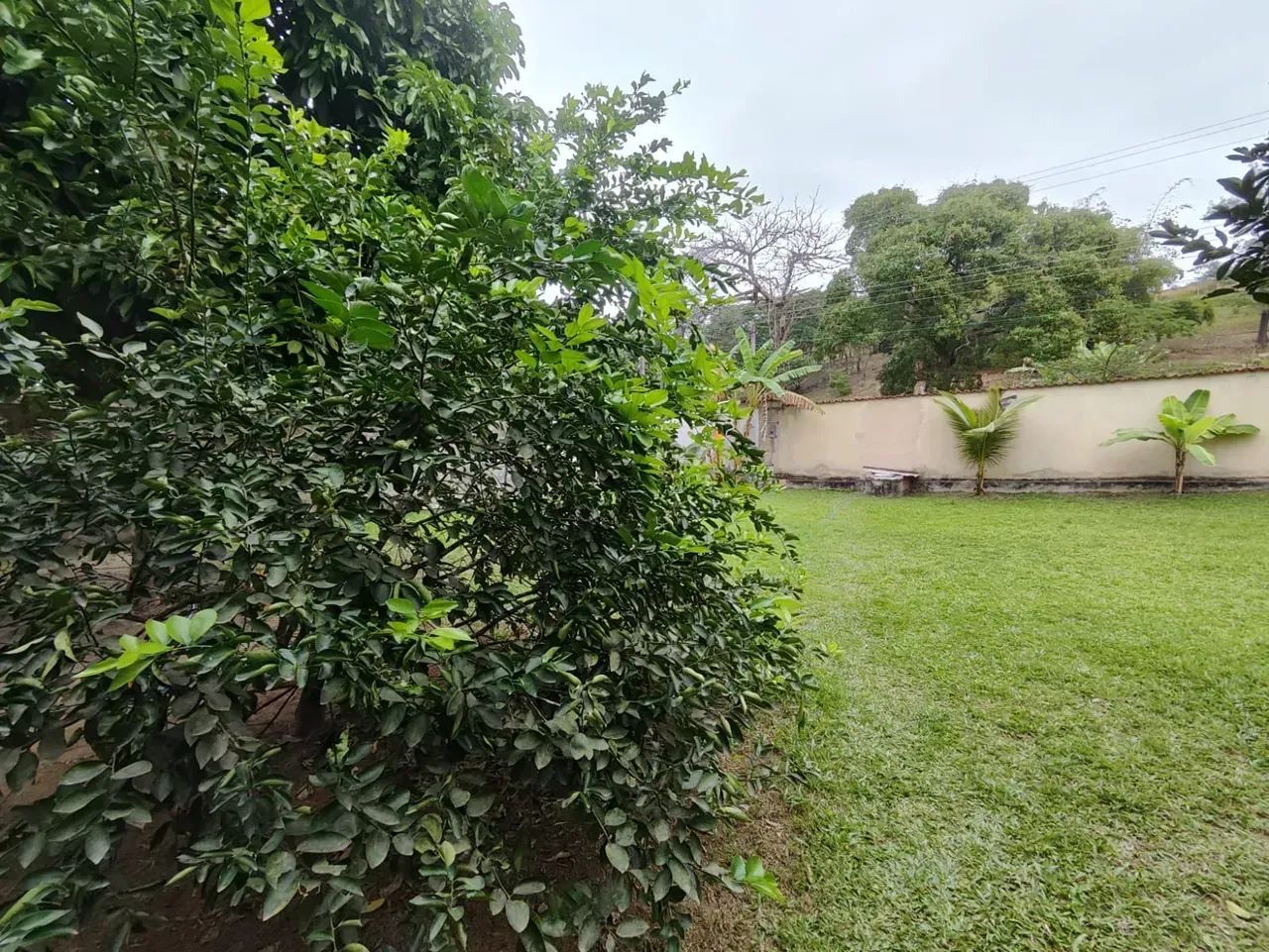 CHÁCARA EM REGIÃO NOBRE - Foto 5