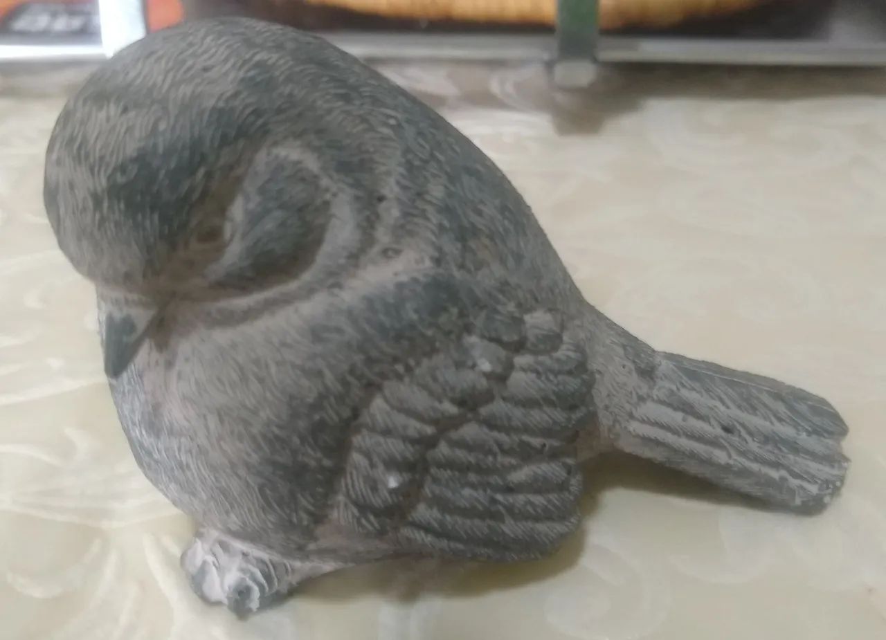 Lindo pássaro 