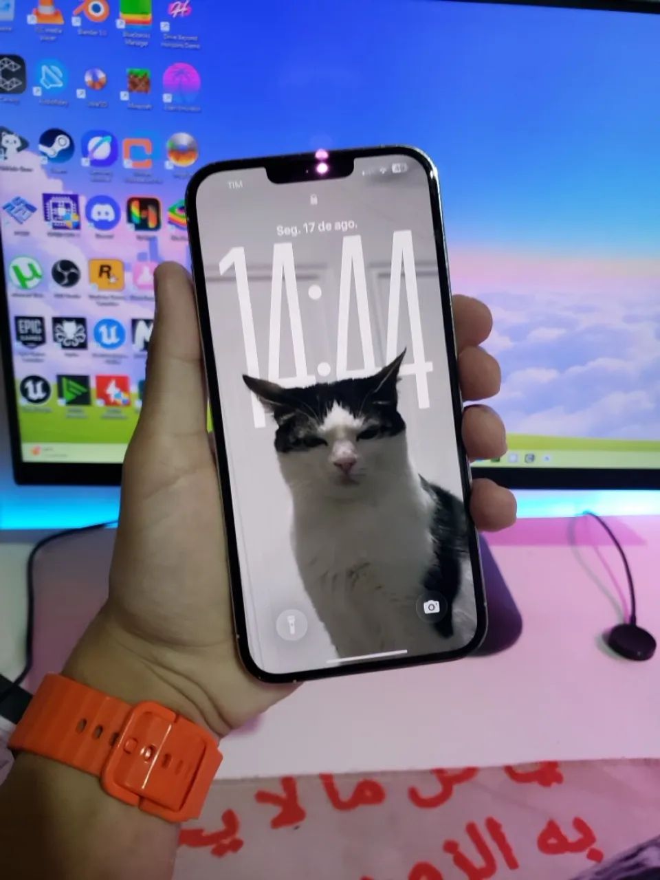 iPhone 13 Pro Max 256GB