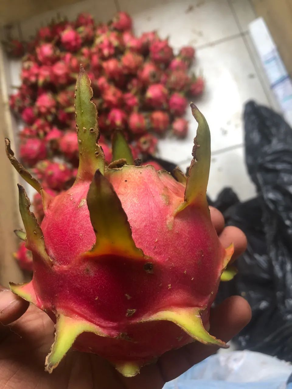 Pitaya  - Foto 2