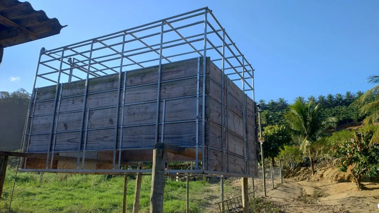 Gaiola boiadeira  - Foto 4