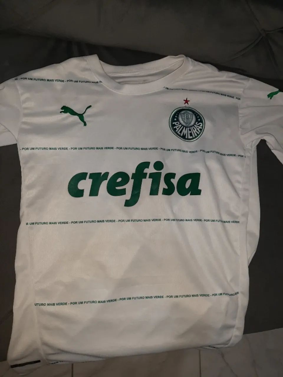 CAMISETA PALMEIRAS
