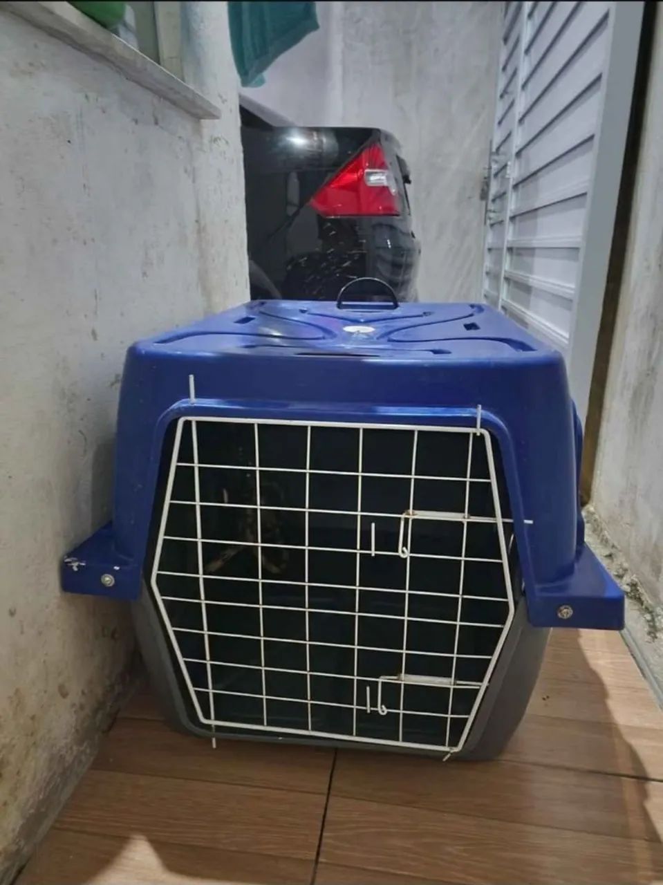 Caixa transporte pet