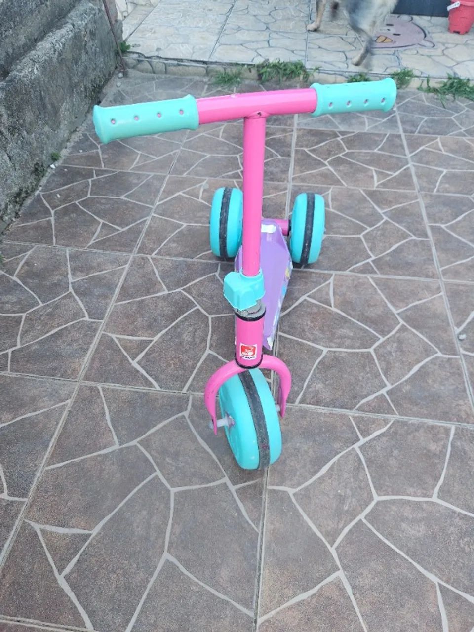 Patinete Bandeirantes 