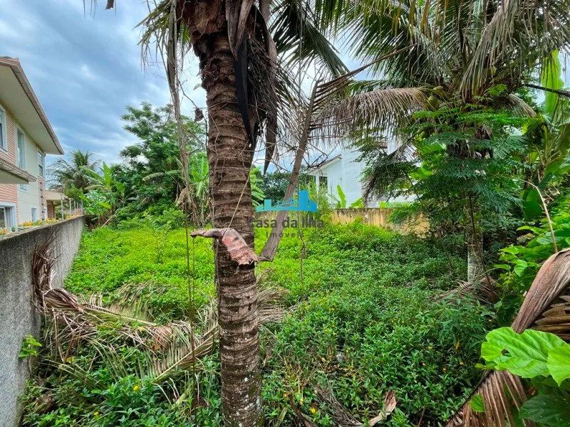 Terreno Santa Mônica 360 m² - Foto 5