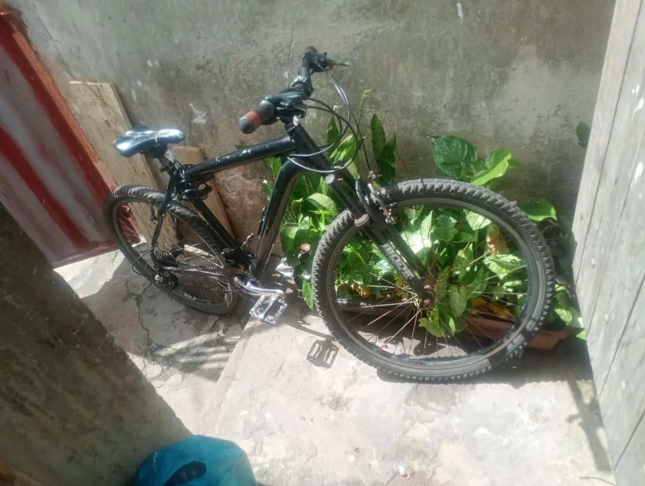 Baik aro 26