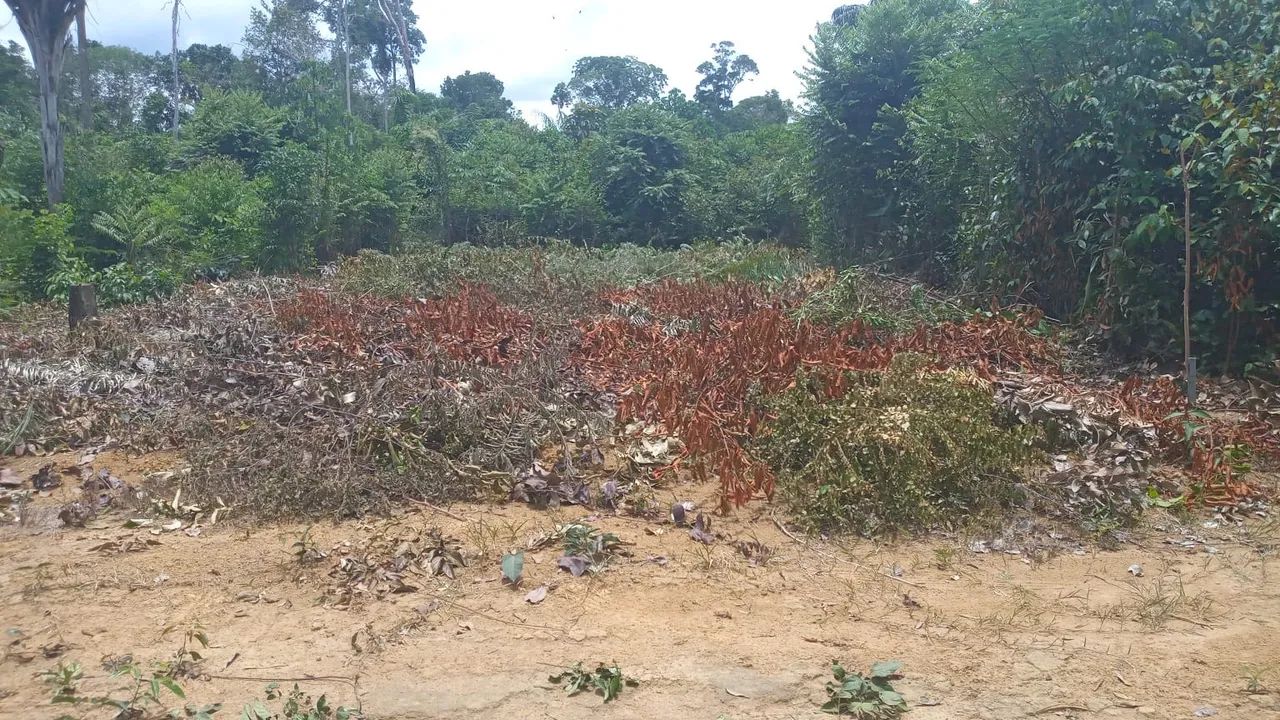 Foto - Manaus - Parque 10 de Novembro
