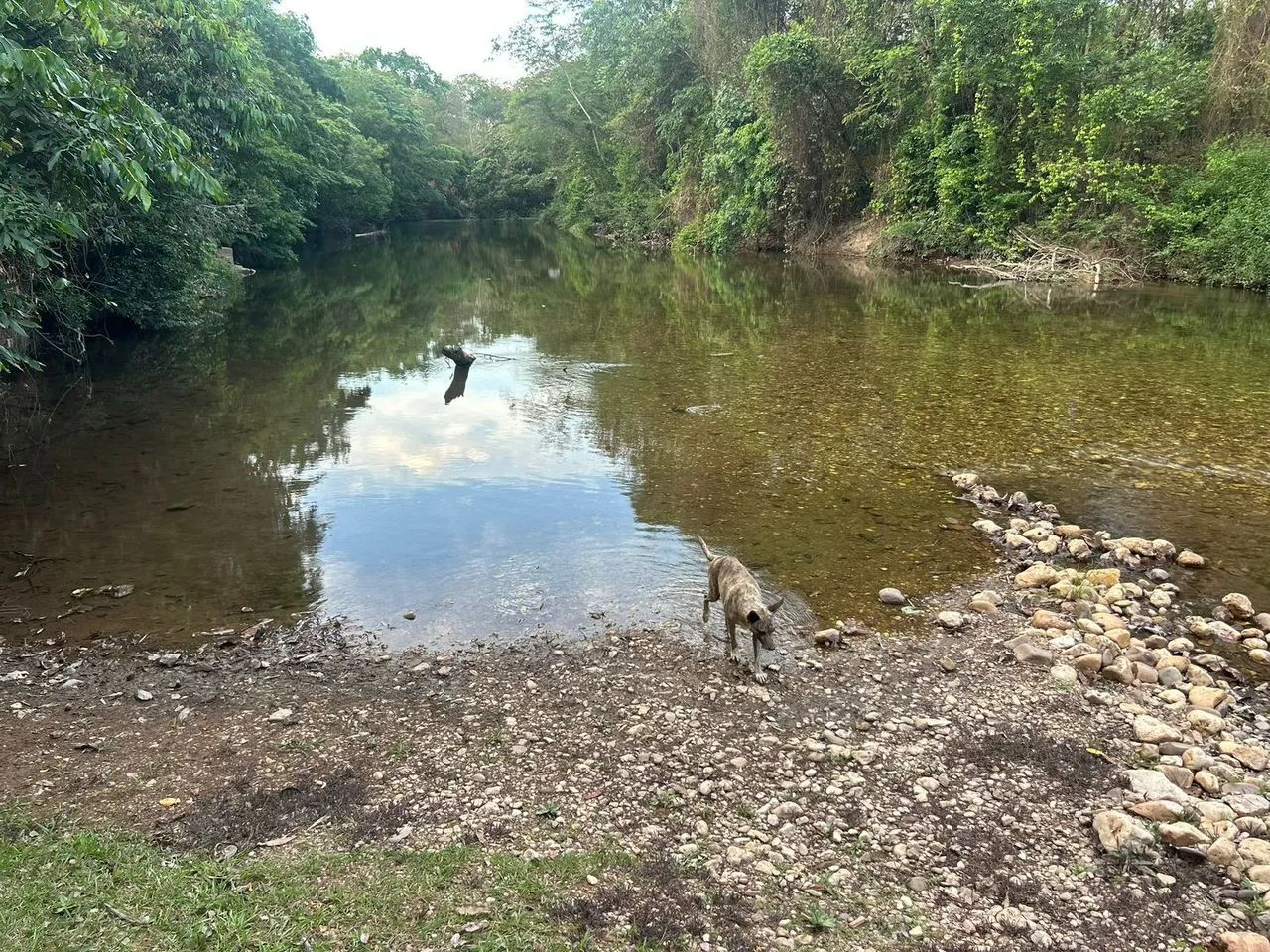 Chácara com rio e piscina - Foto 5