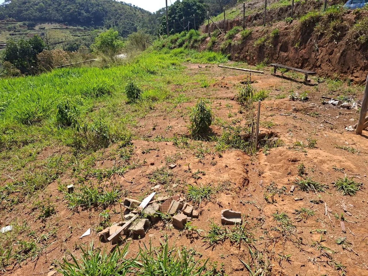 Vendo granja  - Foto 3