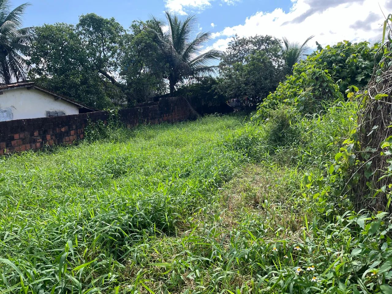 Vende se terreno, aceito entrada e parcelamento  - Foto 3