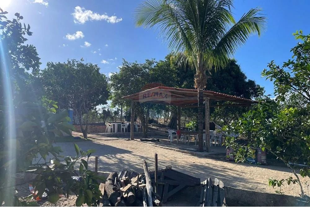 FAZENDINHA EM UNIÃO DOS PALMARES - Foto 5