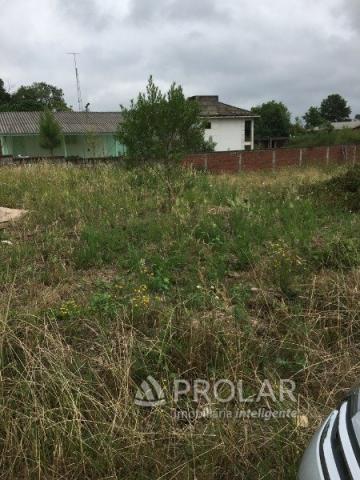 Terreno à venda em Santa catarina, Caxias do sul cod:10292 - Foto 3