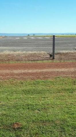 4342 Hect Em Barra Do Garça podendo virar soja.(Fazenda modelo difeênciada) - Foto 3