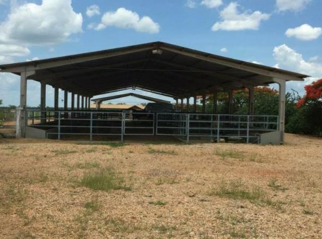 4342 Hect Em Barra Do Garça podendo virar soja.(Fazenda modelo difeênciada) - Foto 17