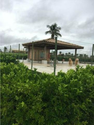 4342 Hect Em Barra Do Garça podendo virar soja.(Fazenda modelo difeênciada) - Foto 16