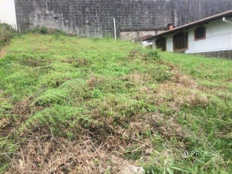 Terreno à venda em Sanvitto, Caxias do sul cod:9817 - Foto 3
