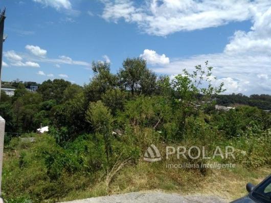 Terreno à venda em Sao roque, Bento goncalves cod:10278 - Foto 3