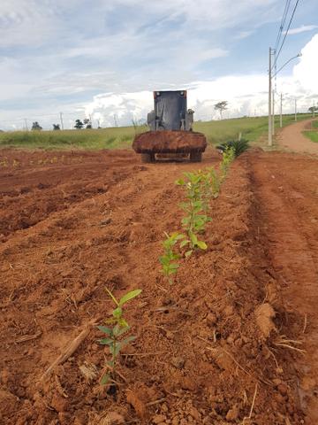 Mini Carregadeira - Foto 4