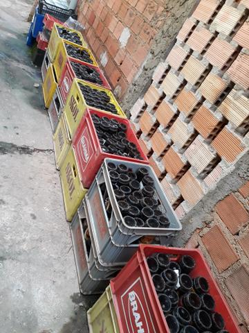 Venda 10.00 ou troca