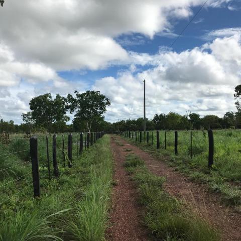 Chácara à venda em Km 21, Nossa senhora do livramento cod:CH00001 - Foto 13