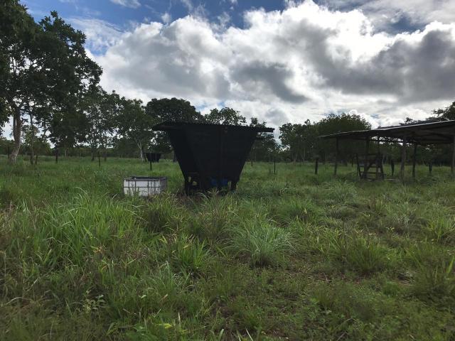 Chácara à venda em Km 21, Nossa senhora do livramento cod:CH00001 - Foto 17