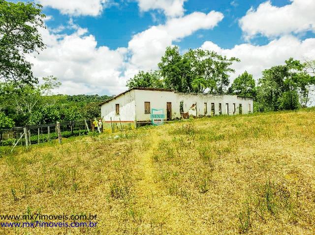 Fazenda mista de cacau e gado. Área de 203 Hectares - Foto 11