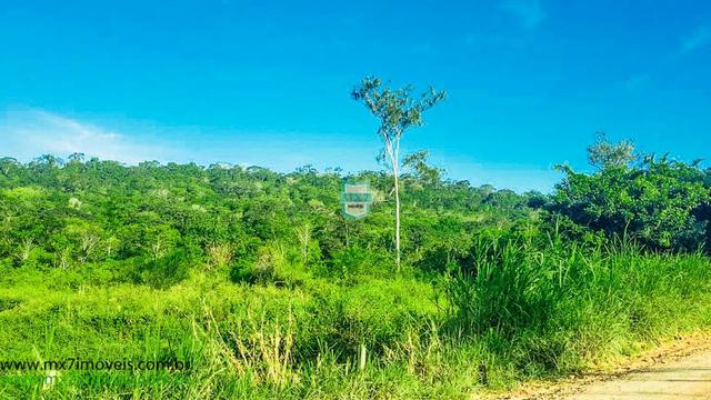 Ubaitaba. Fazenda com o melhor custo beneficio de 400 Hectares - Foto 6