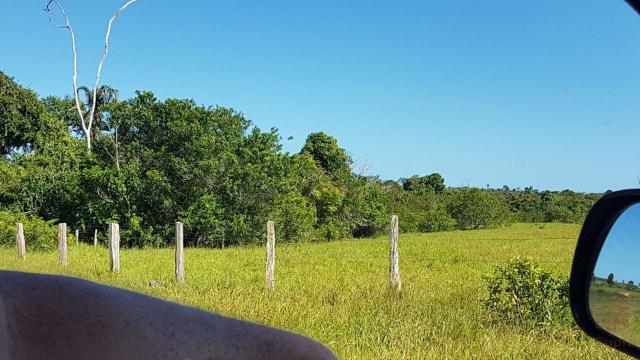 Maravilhosa Fazenda em Barrolândia, Belmonte - BA com 809 Hectares... - Foto 14