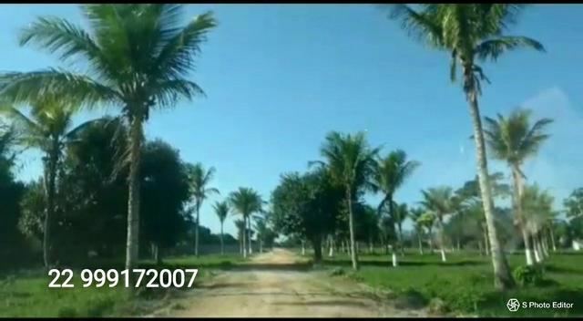 Loteamento Novo mensais 289,00 - Foto 4