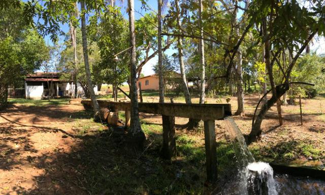Fazenda 16.5 Alqueires ( 80 ha) Aragoiânia-GO - Foto 8