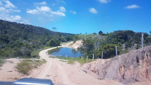 Maravilhosa Fazenda em Barrolândia, Belmonte - BA com 809 Hectares... - Foto 11
