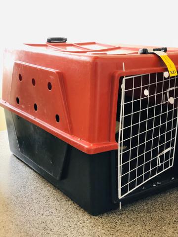 Caixa de transporte para pet n* 5