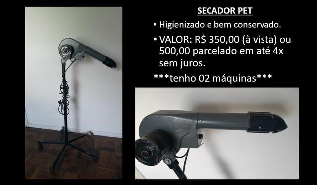 Secador pet