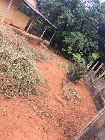 Vendo 6 lotes juntos área 3223 mts2 - Foto 6
