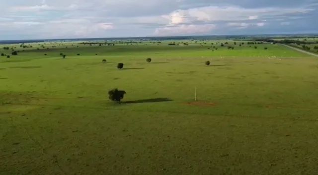 Fazenda de 944 alqueires em Britania-GO - Foto 2
