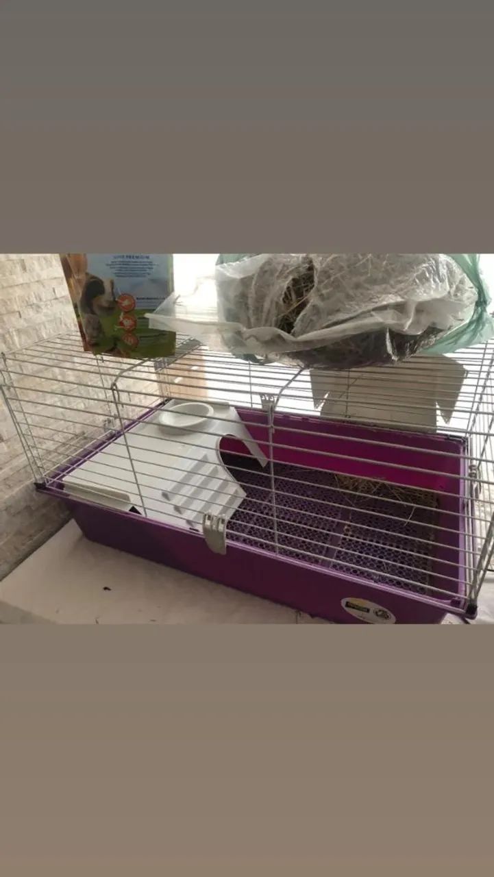 Gaiola porquinho da Índia Usada