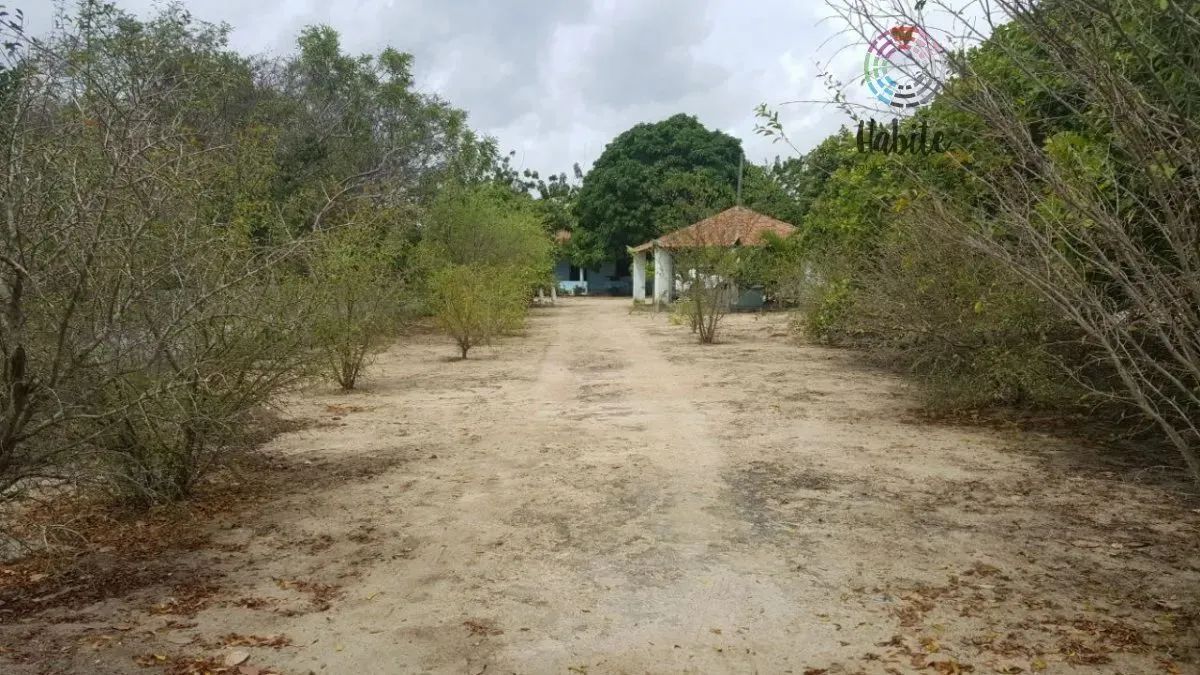 Sítio para Venda em Centro Aquiraz-CE - Foto 3