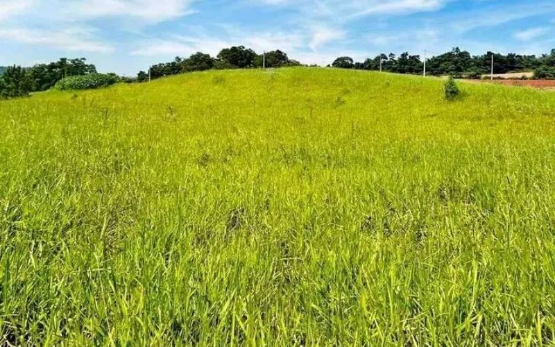Bora sair da cidade grande? - Foto 5