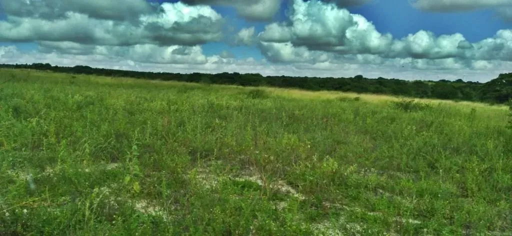 Sítio à venda, 300000 m² por R$ 1.500.000,00 - Ceará-mirim - Ceará-Mirim/RN