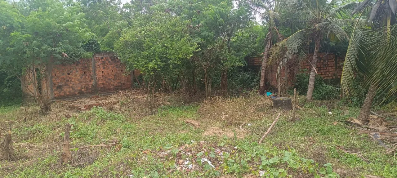 Vendo um terreno no vinhais R$: 18 mil
