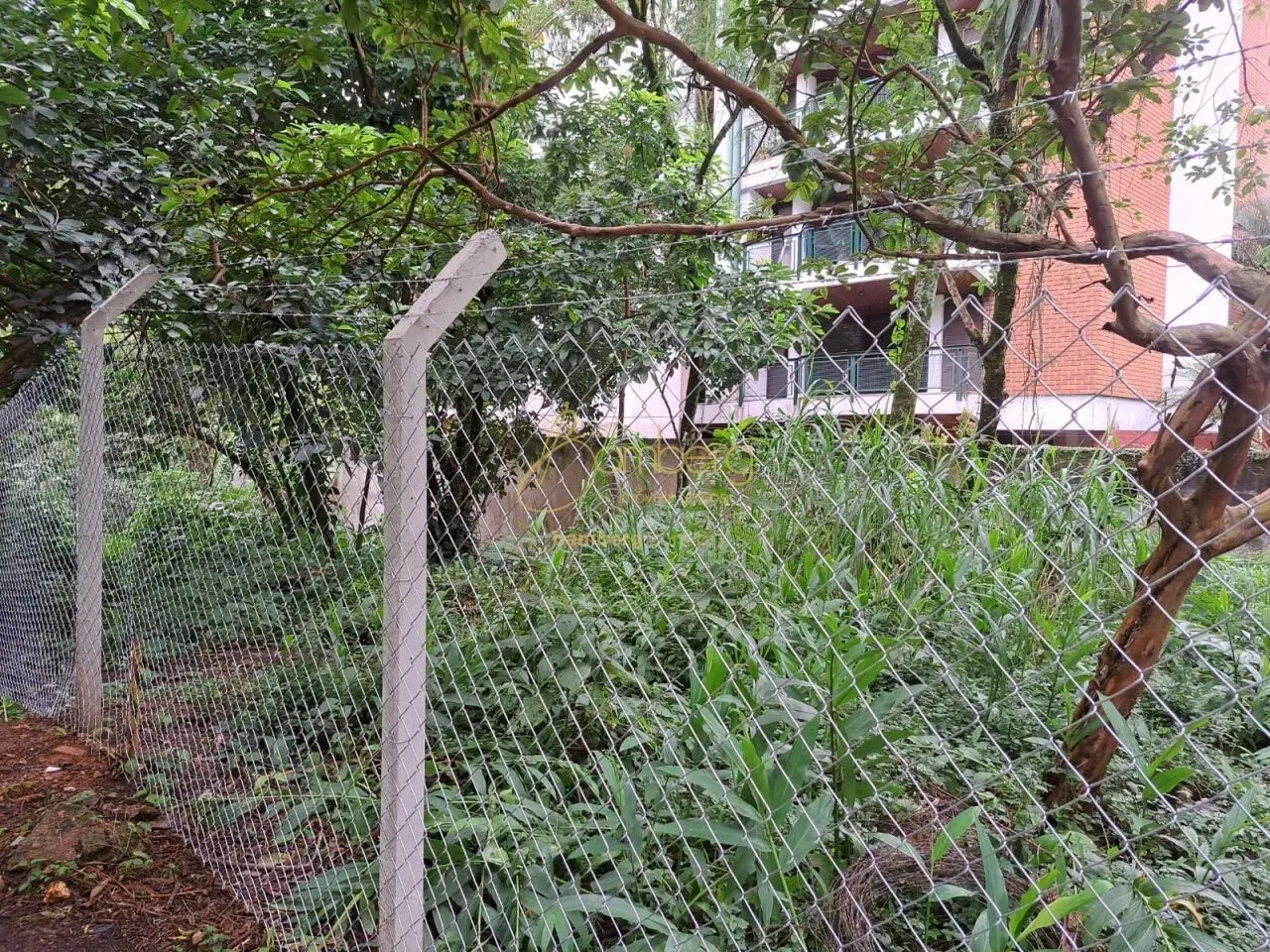 IMÓVEIS NO MORUMBI !! CONFIRA ESTE ÓTIMO TERRENO!!! 712mts²/ ÓTIMA TOPOGRAFIA/ GRANDE OPOR