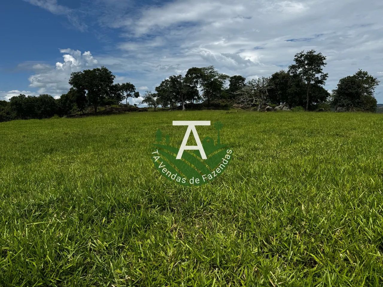 Fazenda de 95 alq em Ipameri-GO - Foto 3