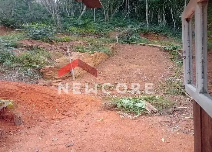 Lote em Área Rural - Área Rural de Biguaçu - Biguaçu/SC - Foto 4