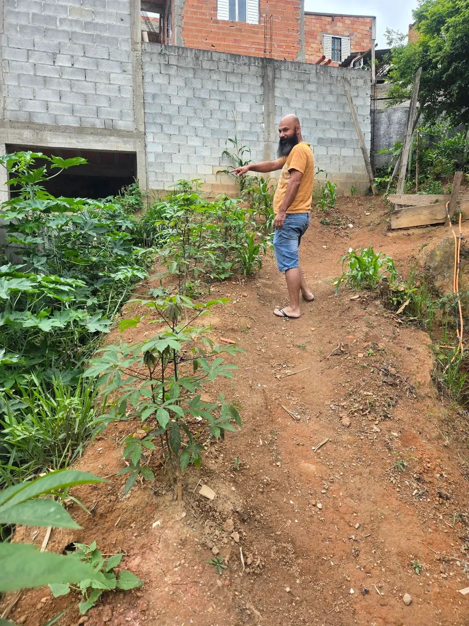 Terreno  - Foto 4