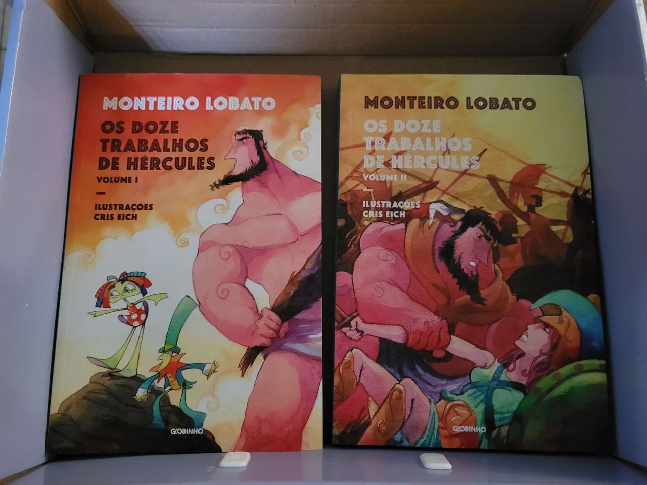 Paradidáticos  - Foto 4