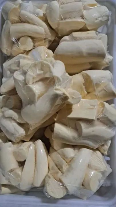 Macaxeira manteguinha descascada e limpa  - Foto 2