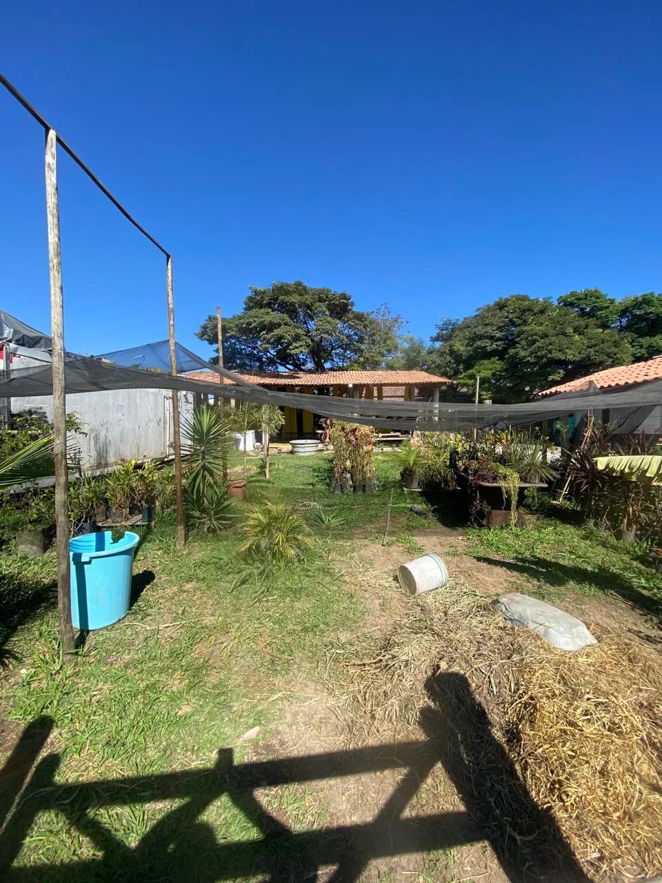 Imóvel para venda com 500 metros quadrados em Centro - São José da Lapa - MG - Foto 4